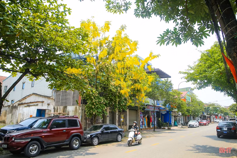 Thời tiết Hà Tĩnh hôm nay: ngày nắng, chiều tối đề phòng mưa dông