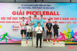 Trao 6 bộ huy chương Giải Pickleball Đại hội TDTT toàn tỉnh 