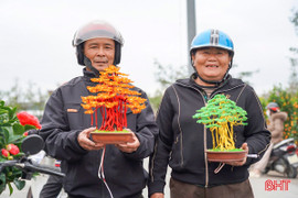 Độc đáo bonsai làm từ dây đồng giá tiền triệu ở Hà Tĩnh