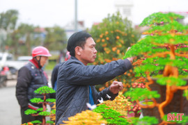 Độc đáo bonsai làm từ dây đồng giá tiền triệu ở Hà Tĩnh