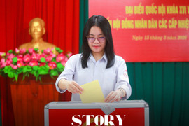 Lần đầu tôi đi bầu đại biểu dân cử