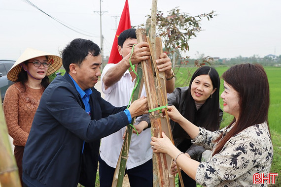 Xã Cẩm Xuyên trồng 750 cây xanh đầu Xuân Bính Ngọ