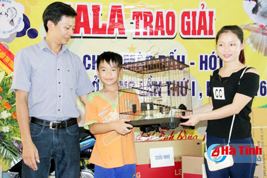 chim chao mao dua tieng