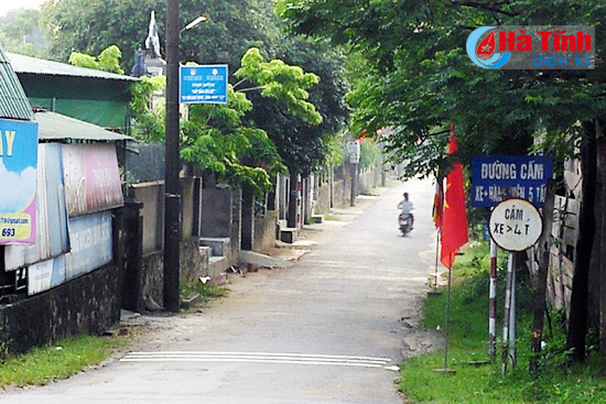 can dau tu tuyen duong chan cau ho do cang ca cua sot