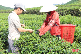 Chung tay trong "cuộc chiến" giảm nghèo bền vững ở xã vùng biên