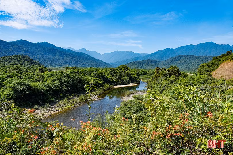 Loài thực vật mới được phát hiện tại Vườn Quốc gia Vũ Quang - Hà Tĩnh