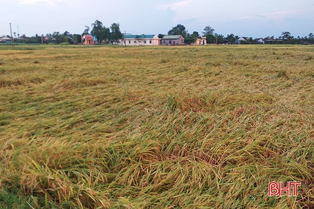 Dông, lốc gây nhiều thiệt hại ở Cẩm Xuyên