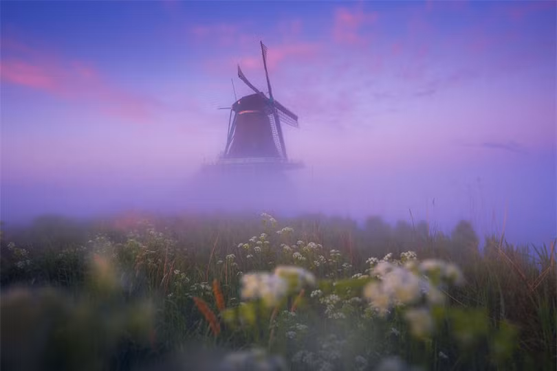 Làng cối xay gió ở Hà Lan chìm trong sương mù huyền ảo như cổ tích