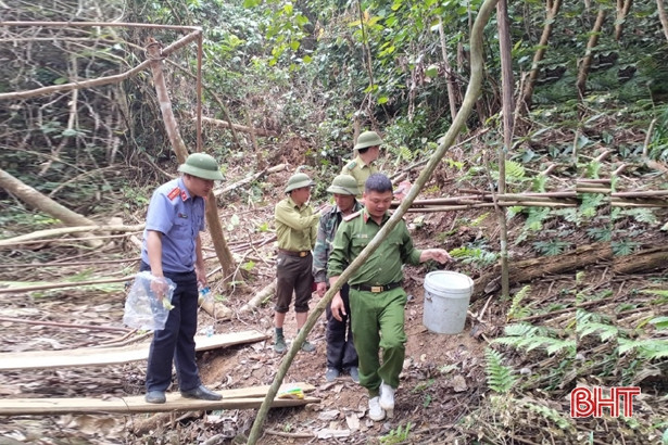 Khởi tố đối tượng hủy hoại 10.808 m<sup>2 </sup>rừng tự nhiên ở Hương Khê