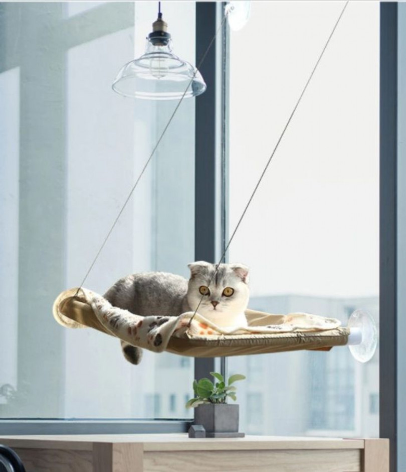 Không muốn lắp rèm cho cửa sổ thì bạn phải làm gì?