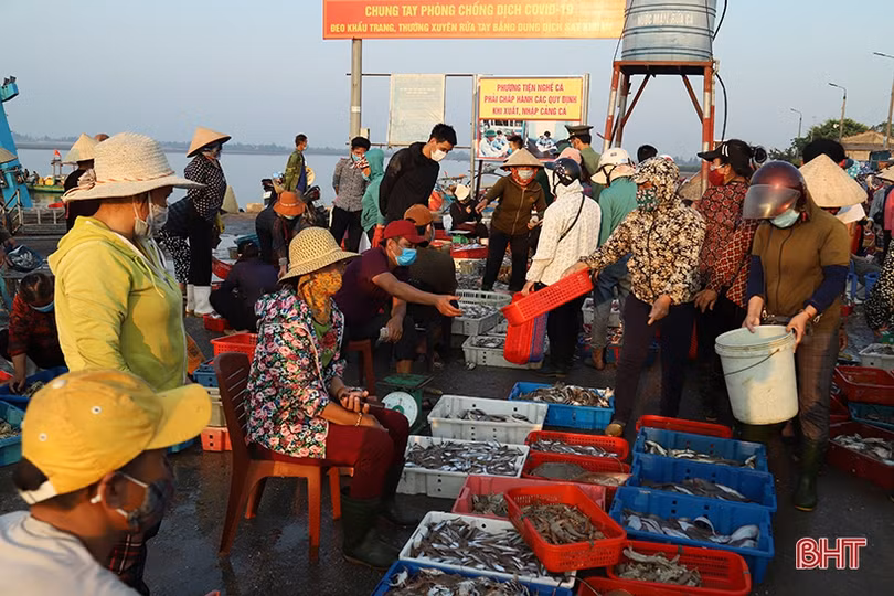 “Cảnh giác” với Covid-19 ở cảng cá lớn nhất Hà Tĩnh