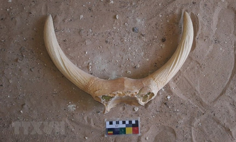 Ai Cập phát hiện 250 lăng mộ có niên đại 4.200 năm