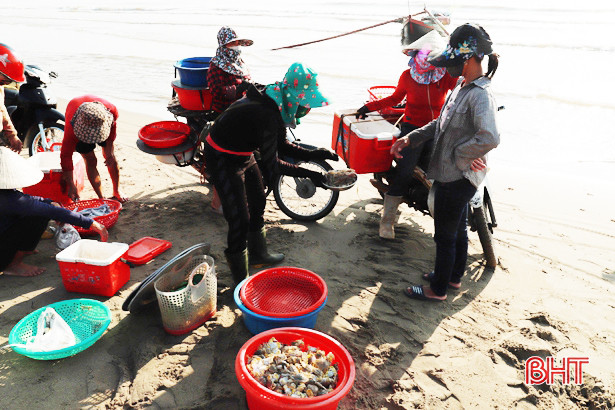 Cá trích được giá, ngư dân Nghi Xuân thu tiền triệu sau mỗi chuyến ra khơi