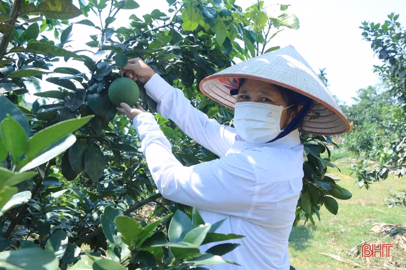 Cử tri miền núi Hà Tĩnh gửi trọn niềm tin vào ngày hội bầu cử