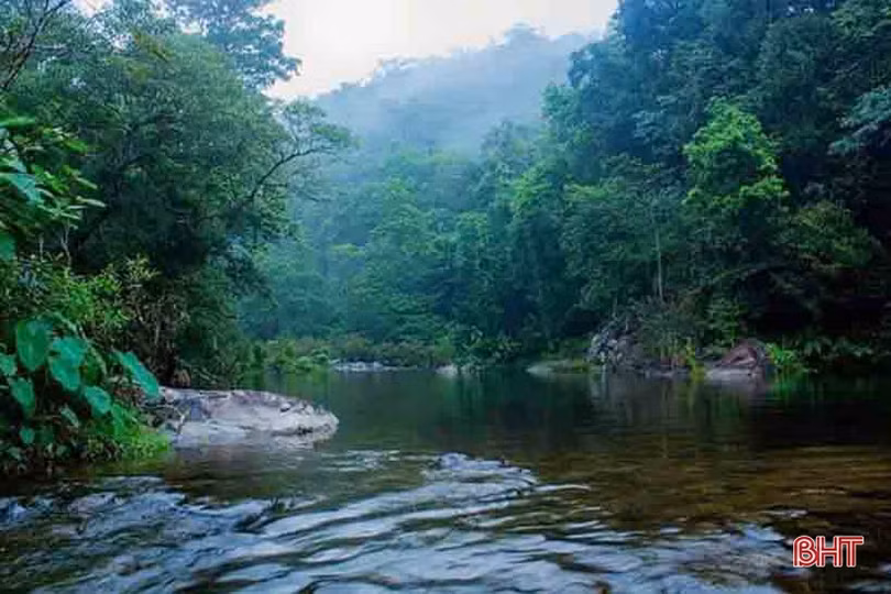 Tập đoàn TH đề xuất đầu tư 2 dự án trọng điểm trên địa bàn Vũ Quang