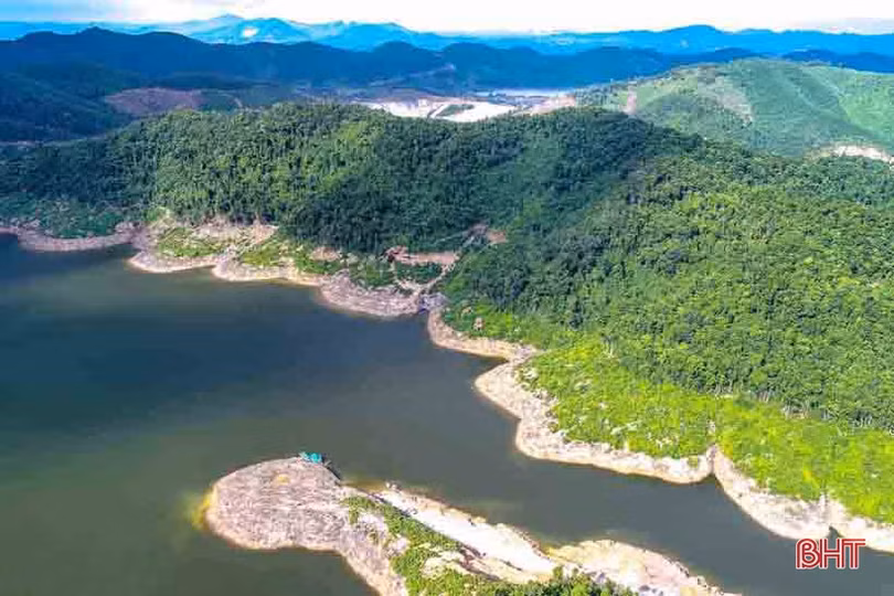 Tập đoàn TH đề xuất đầu tư 2 dự án trọng điểm trên địa bàn Vũ Quang