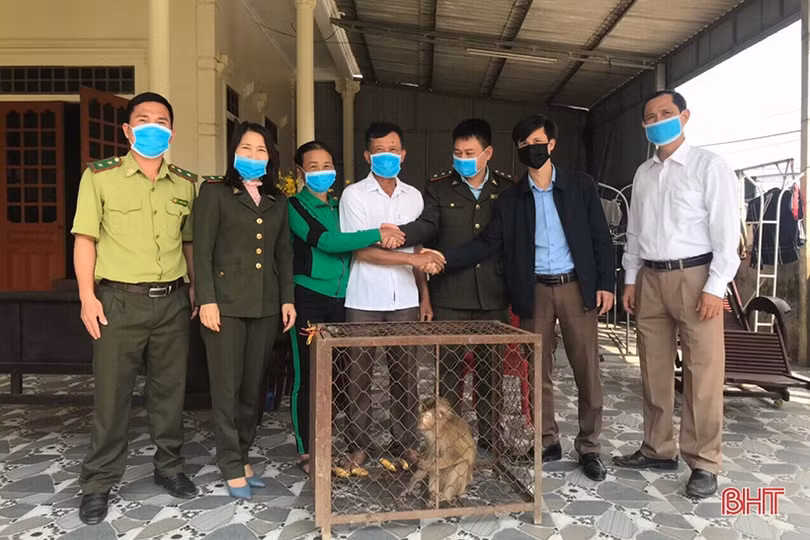 Vườn Quốc gia Vũ Quang - nơi “hồi sinh” động vật hoang dã