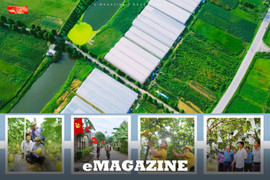 Đức Đồng bứt phá từ lợi thế bán sơn địa đến đạt chuẩn nông thôn mới nâng cao