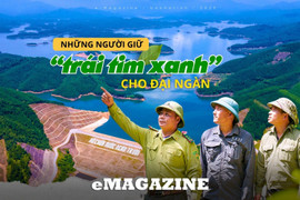Những người giữ "trái tim xanh" cho đại ngàn