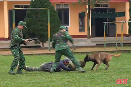 Xem cảnh khuyển của BĐBP Hà Tĩnh dũng mãnh tấn công "tội phạm" 