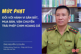 Mức phạt đối với hành vi săn bắt, mua bán, vận chuyển trái phép chim hoang dã