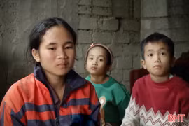 MS2413: Tiếng khóc nhói lòng của 3 chị em mồ côi