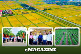 Ý Đảng lòng dân hòa quyện, dựng xây Đồng Tiến vươn tầm mới