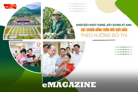Khơi dậy khát vọng, xây dựng Kỳ Anh đạt chuẩn nông thôn mới kiểu mẫu theo hướng đô thị