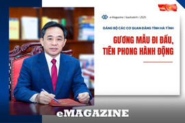 Đảng bộ Các cơ quan Đảng tỉnh: Gương mẫu đi đầu, tiên phong hành động
