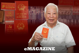 Nhớ mãi kỳ đại hội Đảng bộ tỉnh đầu tiên sau ngày thống nhất