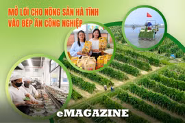 Bài 2: Tái cấu trúc sản xuất, hoàn thiện chuỗi cung ứng