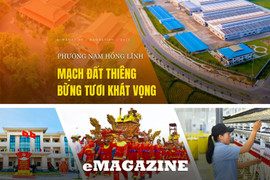 Phường Nam Hồng Lĩnh – mạch đất thiêng bừng tươi khát vọng