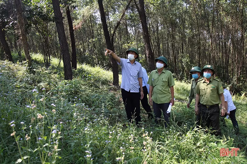 Chủ động phương án phòng ngừa, quản lý chặt người ra vào rừng lúc cao điểm nắng nóng