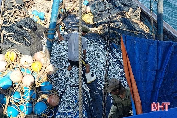 Bắt giữ 2 tàu giã cào khai thác hải sản sai vùng biển quy định ở Cẩm Xuyên