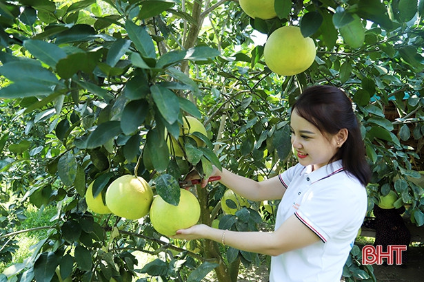Hà Tĩnh: Thu nhập bình quân đầu người đứng nhì Bắc Trung Bộ