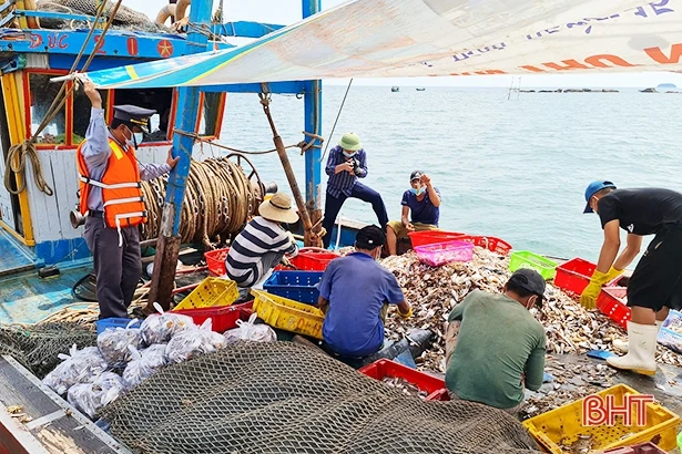 Bắt giữ 2 cặp tàu giã cào ngoại tỉnh khai thác hải sản sai vùng biển quy định ở Hà Tĩnh