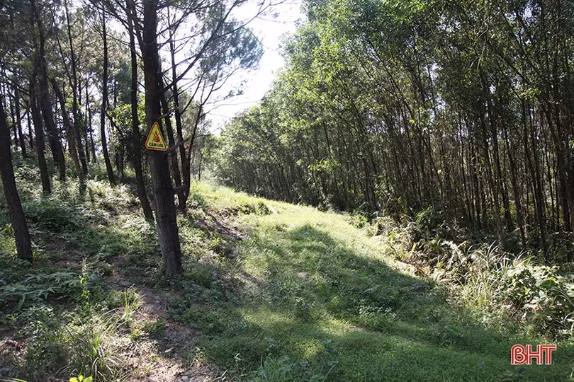 Chủ động phương án phòng ngừa, quản lý chặt người ra vào rừng lúc cao điểm nắng nóng