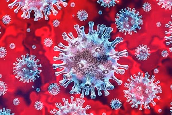 Việt Nam phát hiện thêm hai biến chủng SARS-CoV-2 mới, từ những ca bệnh nhập cảnh