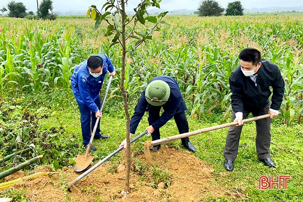 Tuổi trẻ Hà Tĩnh ra quân tết trồng cây xuân Nhâm Dần 2022