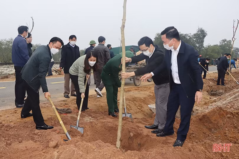 Các địa phương Hà Tĩnh sôi nổi ra quân trồng cây đầu xuân