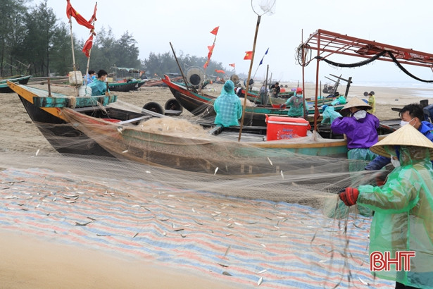 Ngư dân Nghi Xuân đón “lộc biển” đầu năm