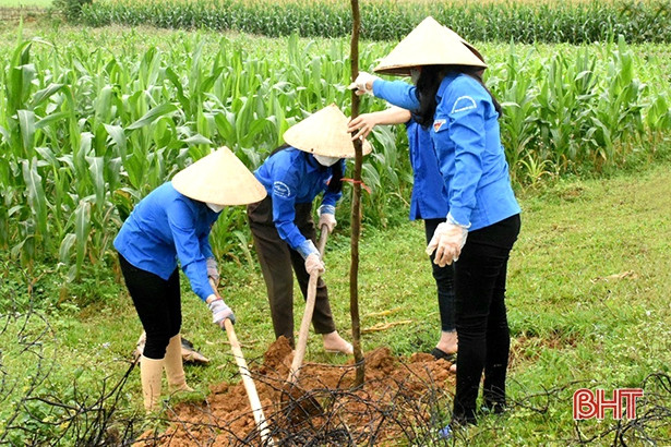 Tuổi trẻ Hà Tĩnh ra quân tết trồng cây xuân Nhâm Dần 2022