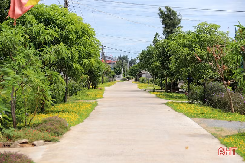 Kinh nghiệm huy động nguồn lực xây dựng NTM nâng cao ở xã ven biển phía Nam