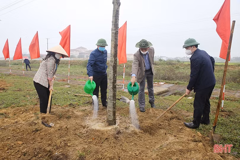 Liên đoàn Lao động Hà Tĩnh tổ chức Tết trồng cây đời đời nhớ ơn Bác Hồ” 