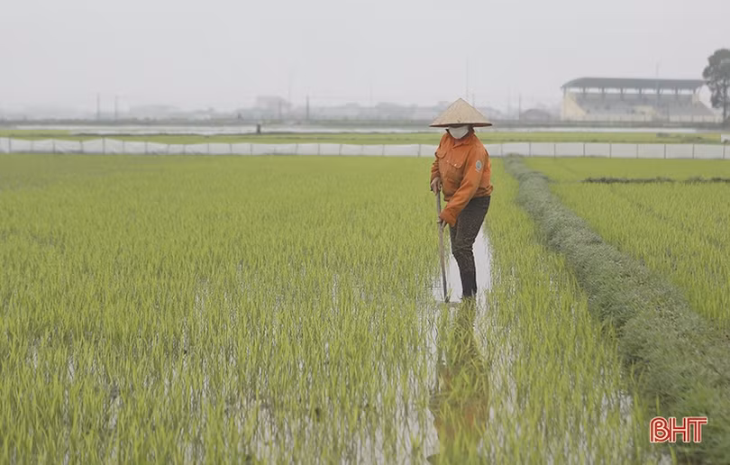 Can Lộc vừa phòng chống dịch, vừa linh hoạt sản xuất, xây dựng nông thôn mới