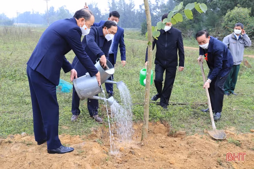 Các địa phương Hà Tĩnh sôi nổi ra quân trồng cây đầu xuân
