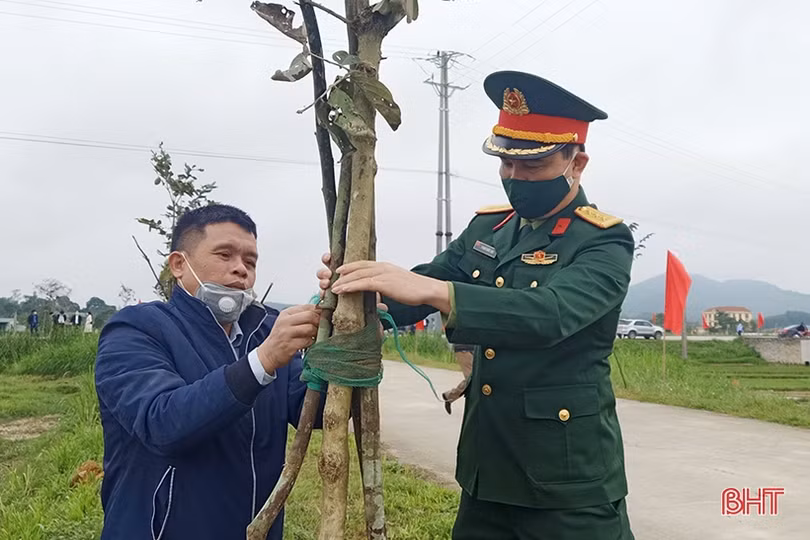 Các địa phương Hà Tĩnh sôi nổi ra quân trồng cây đầu xuân