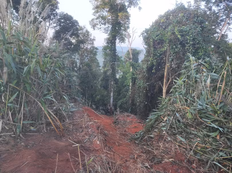 Hiện trường vụ tai nạn. Ảnh Ban An toàn giao thông tỉnh cung cấp Gia Lai: Xe tải chở sắn lao xuống vực, 6 người tử vong