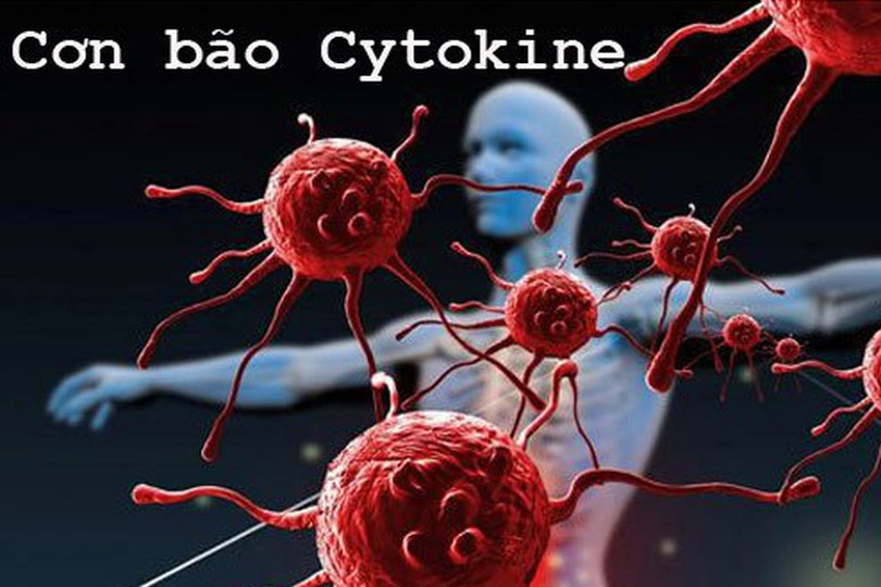 Bão Cytokine trong COVID-19 không mới nhưng chưa cũ