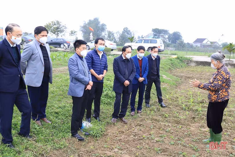 Các địa phương Hà Tĩnh sôi nổi ra quân trồng cây đầu xuân